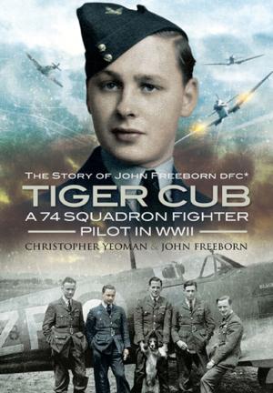 Book cover of Tiger Cub