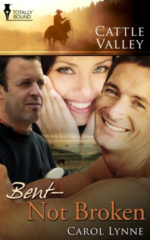 Cover of the book Bent, Not Broken by Lynne Connolly