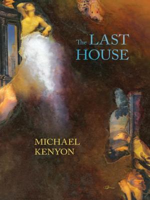 Book cover of The Last House