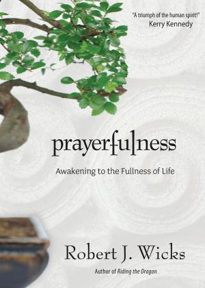 bigCover of the book Prayerfulness by 