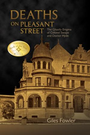 Cover of the book Deaths on Pleasant Street by Kirsten C. Uszkalo