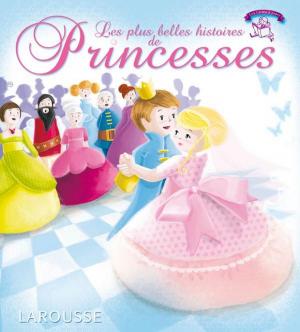 Cover of the book Les plus belles histoires de princesses by Bénédicte Péribère, Solenne Roland