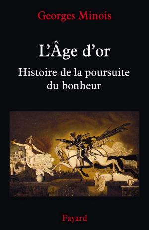 Cover of the book L'Âge d'or by Vincent Engel