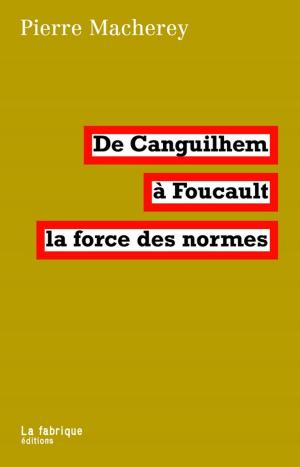 Cover of the book De Canguilhem à Foucault, la force des normes by Carine Fouteau, Aurélie Windels, Aurélie Windels, Serge Guichard, Eric Fassin