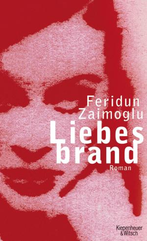 Book cover of Liebesbrand