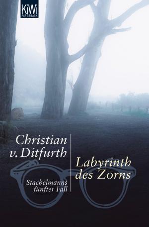 Cover of the book Labyrinth des Zorns by Julian Barnes
