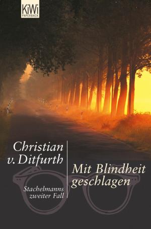 Cover of the book Mit Blindheit geschlagen by Tom Hillenbrand