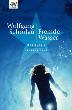 Book cover of Fremde Wasser