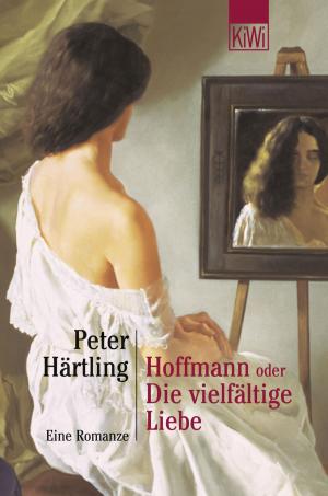 Cover of the book Hoffmann oder Die vielfältige Liebe by Tilman Spreckelsen, Kat Menschik