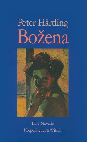 Cover of the book Bozena by Christoph Schlingensief