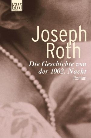 Cover of the book Die Geschichte von der 1002. Nacht by Jürgen Wiebicke