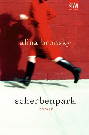 Cover of the book Scherbenpark by Heinz Peter Schwerfel