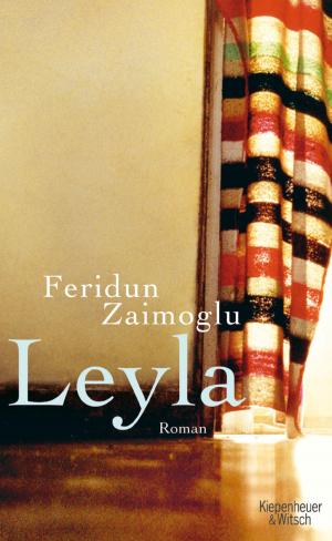 Cover of the book Leyla by Don DeLillo