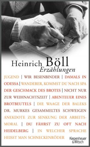 Cover of the book Erzählungen by Maxim Biller