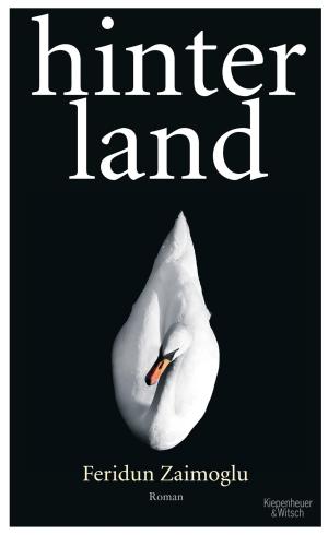Cover of the book Hinterland by Gabriel García Márquez