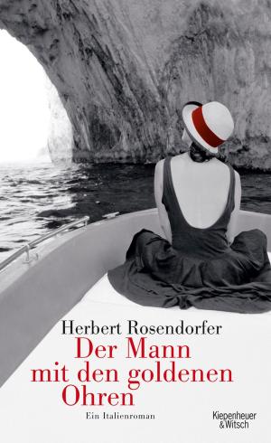 Cover of the book Der Mann mit den goldenen Ohren by Alina Bronsky
