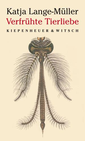 Cover of the book Verfrühte Tierliebe by Kathrin Schmidt