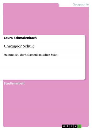 Cover of the book Chicagoer Schule by Mario Zielinski