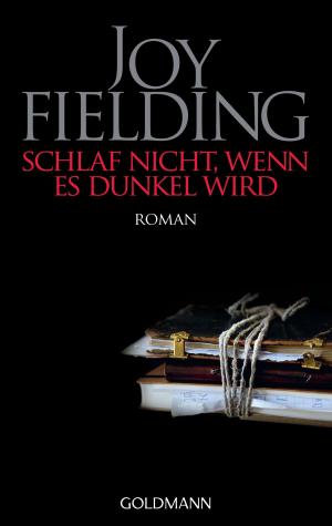 Cover of the book Schlaf nicht, wenn es dunkel wird by Krystyna Kuhn