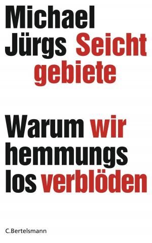 Cover of the book Seichtgebiete by Justus Bender, Jan Philipp Burgard