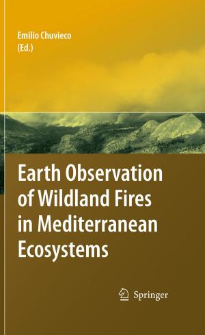 Cover of the book Earth Observation of Wildland Fires in Mediterranean Ecosystems by Harald Friedrich