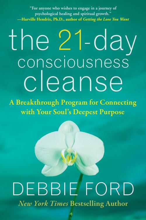 Cover of the book The 21-Day Consciousness Cleanse by Debbie Ford, HarperOne