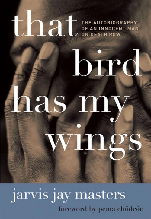 Cover of the book That Bird Has My Wings by Jarvis Jay Masters, HarperOne