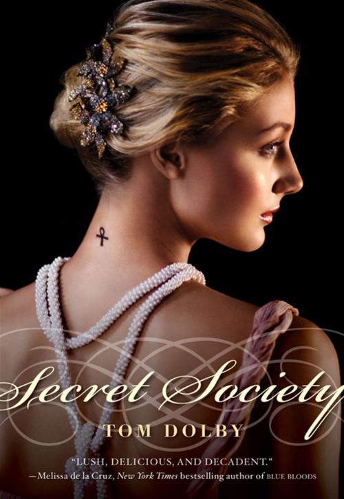 Cover of the book Secret Society by Tom Dolby, Katherine Tegen Books