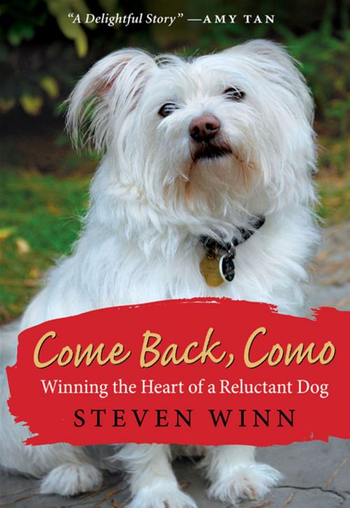 Cover of the book Come Back, Como by Steven Winn, HarperCollins e-books