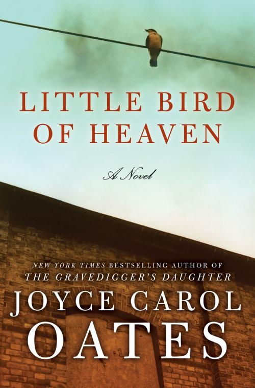 Cover of the book Little Bird of Heaven by Joyce Carol Oates, HarperCollins e-books