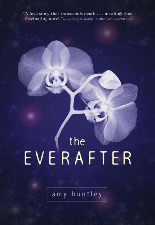 Cover of the book The Everafter by Amy Huntley, Balzer + Bray