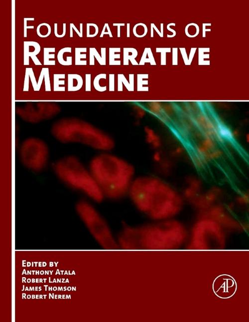 Cover of the book Foundations of Regenerative Medicine by , Elsevier Science