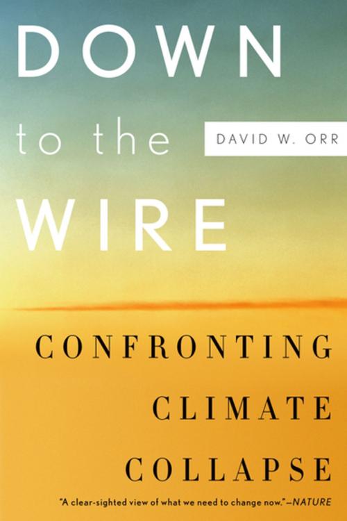Cover of the book Down to the Wire by David W. Orr, Oxford University Press