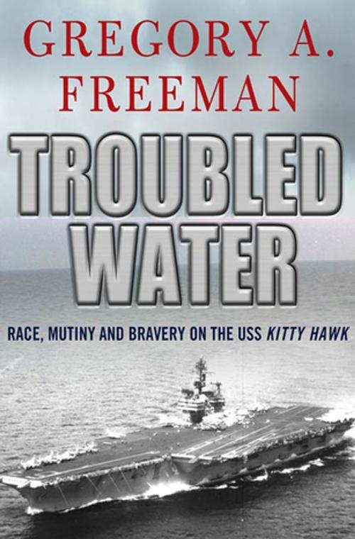 Cover of the book Troubled Water by Gregory A. Freeman, St. Martin's Press