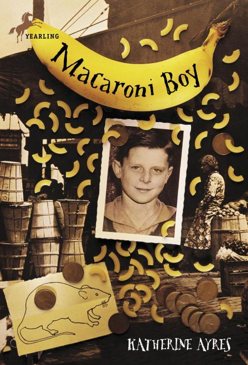 Cover of the book Macaroni Boy by Katherine Ayres, Random House Children's Books