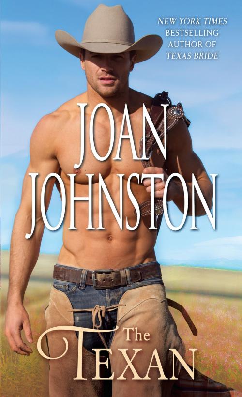 Cover of the book The Texan by Joan Johnston, Random House Publishing Group