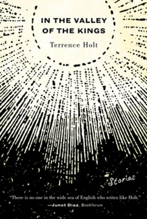 Cover of the book In the Valley of the Kings: Stories by Terrence Holt, W. W. Norton & Company