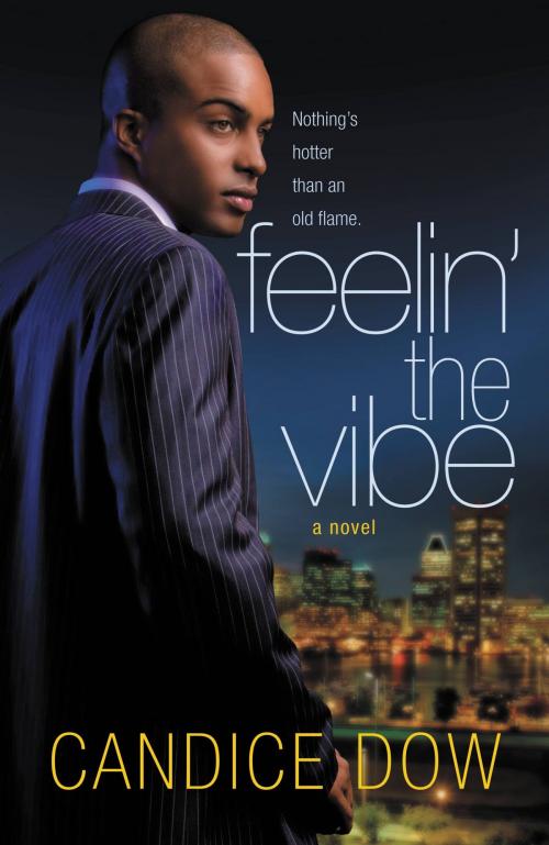 Cover of the book Feelin' the Vibe by Candice Dow, Grand Central Publishing