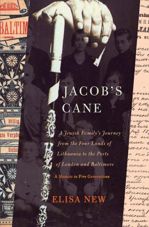 Cover of the book Jacob's Cane by Elisa New, Basic Books