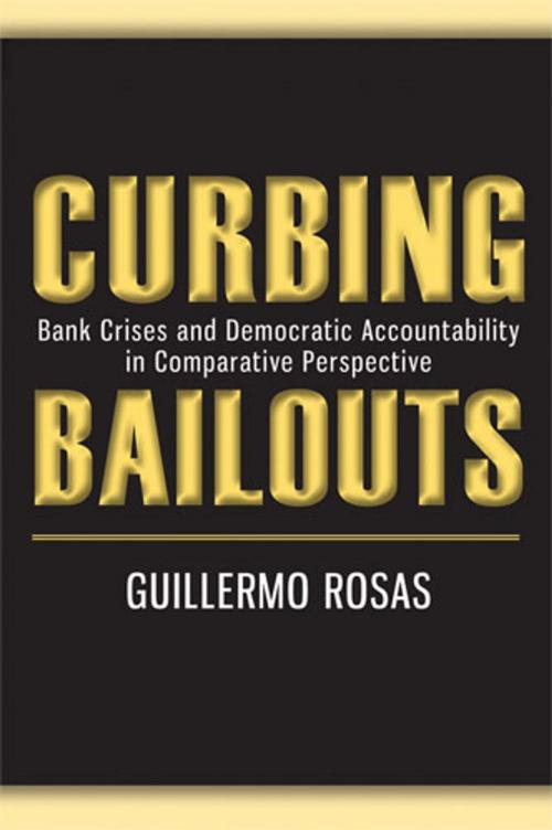 Cover of the book Curbing Bailouts by Guillermo Rosas, University of Michigan Press