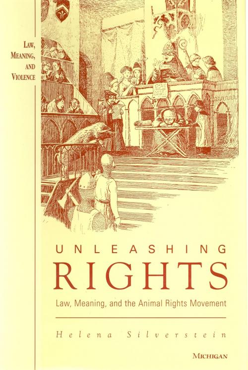 Cover of the book Unleashing Rights by Helena Silverstein, University of Michigan Press