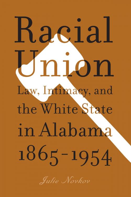 Cover of the book Racial Union by Julie Novkov, University of Michigan Press