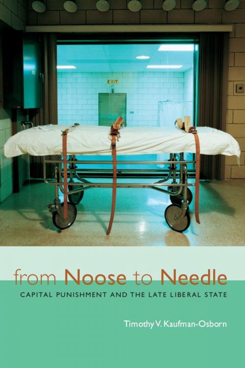 Cover of the book From Noose to Needle by Timothy Vance Kaufman-Osborn, University of Michigan Press