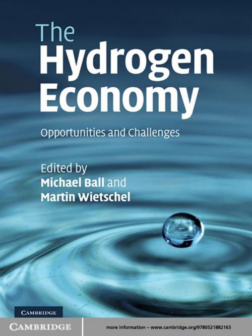 Cover of the book The Hydrogen Economy by , Cambridge University Press