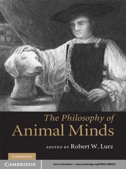Cover of the book The Philosophy of Animal Minds by , Cambridge University Press
