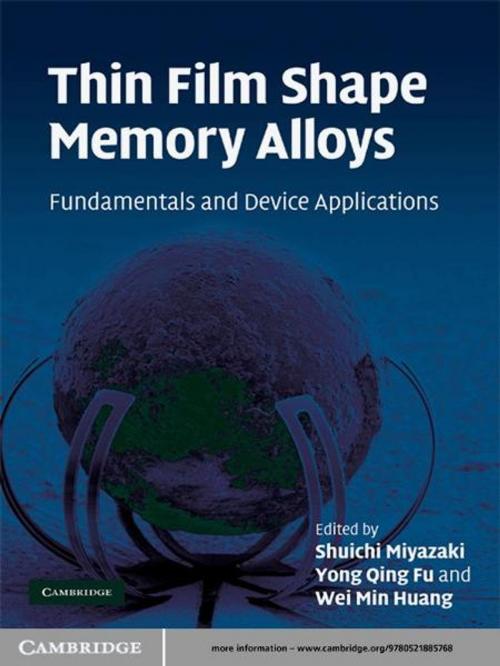 Cover of the book Thin Film Shape Memory Alloys by , Cambridge University Press