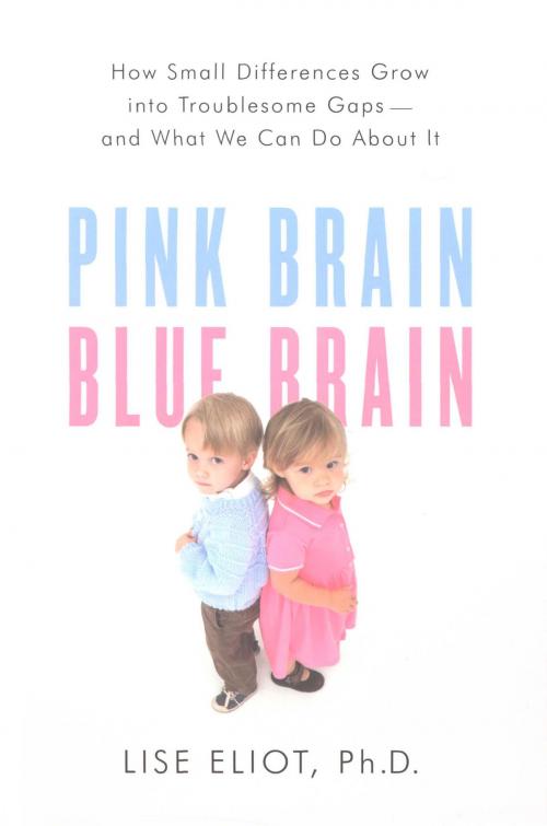 Cover of the book Pink Brain, Blue Brain by Lise Eliot, HMH Books