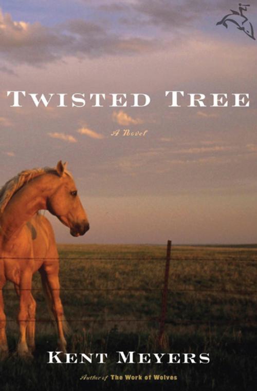 Cover of the book Twisted Tree by Kent Meyers, Houghton Mifflin Harcourt