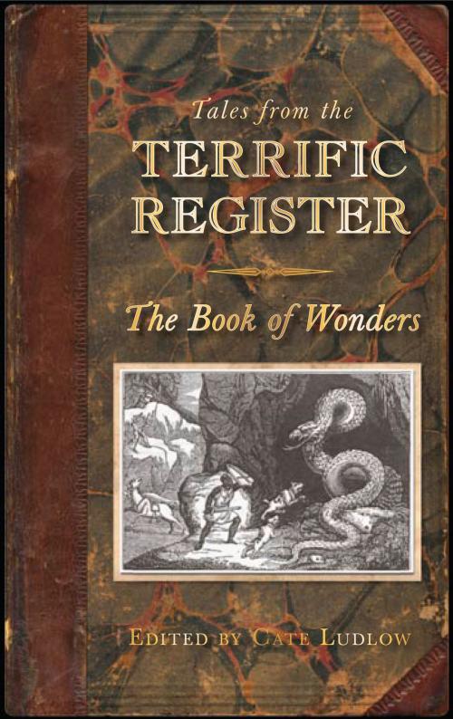 Cover of the book Tales from the Terrific Register: The Book of Wonders by , The History Press
