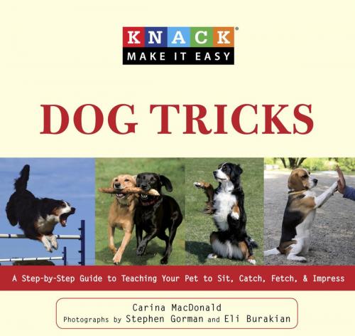 Cover of the book Knack Dog Tricks by Carina Macdonald, Globe Pequot Press